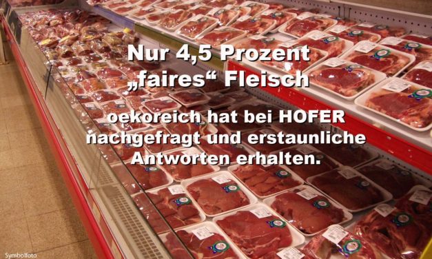 HOFER & co: Nur 4,5 Prozent „faires“ Fleisch im Supermarkt-Regal